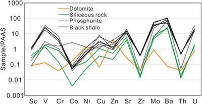 Hydrothermal activities contribute to the strong metal enrichments during early Cambrian: evidence from the comparison between black rock series in Tarim and South China
